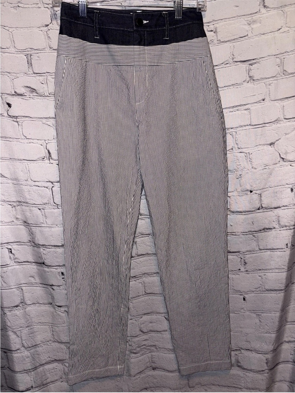 Jason Wu Seersucker & Denim Pants In Twilight Star White Size 2 Striped Modern - Picture 2 of 14